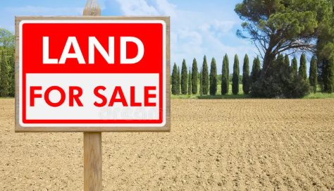 land for sale